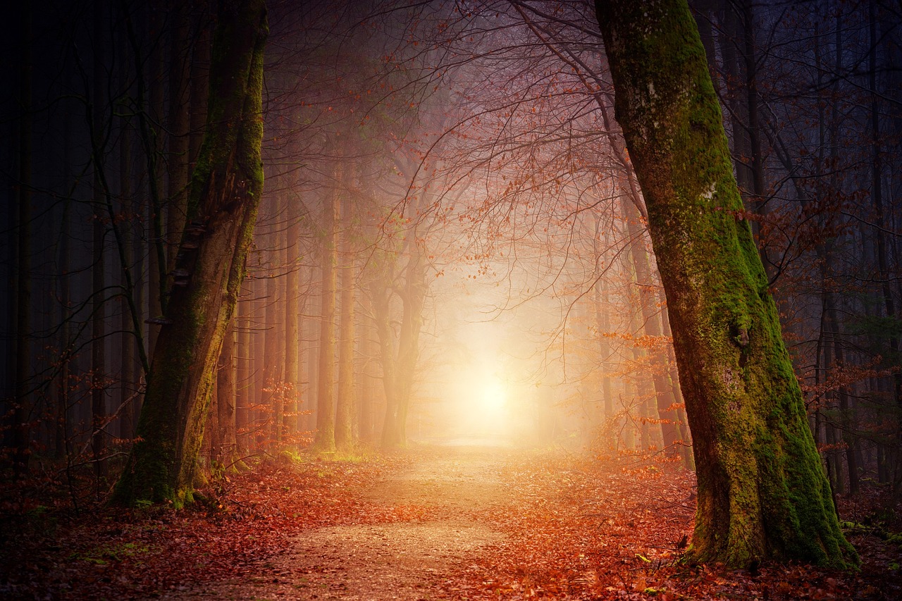 Herfstkaarsen brandend op een rustieke plank.