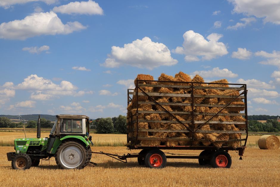 Pompoen en wortels voor romige herfstsoep.