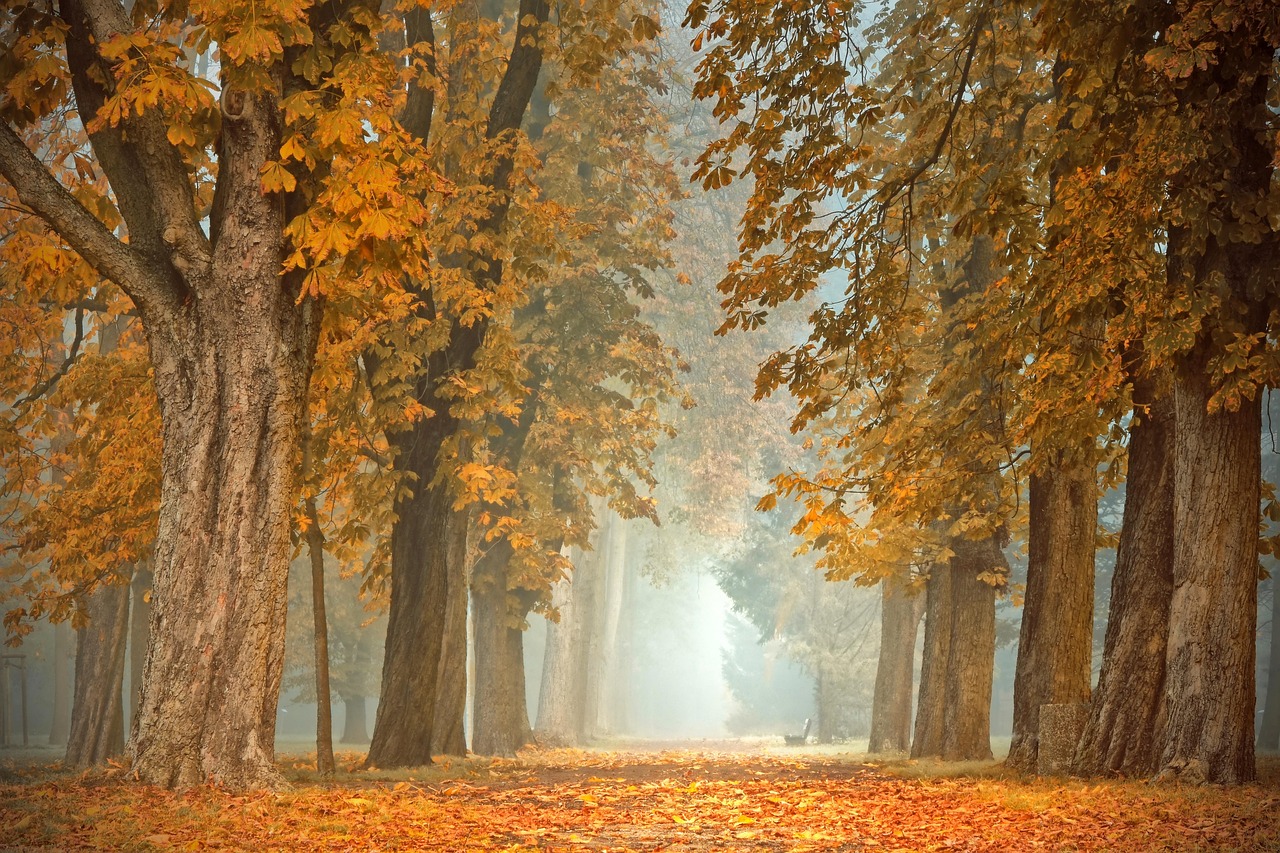 Sfeervol vlinderschilderij met warme herfstkleuren. Sfeervol vlinderschilderij met warme herfstkleuren.